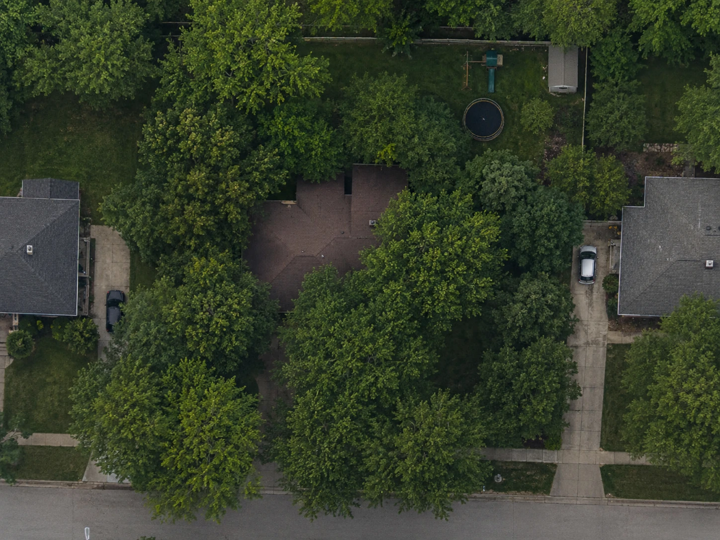 Satellite imagery of a residential lot in full summer leaf, with tree canopy covering most of the roof and driveway